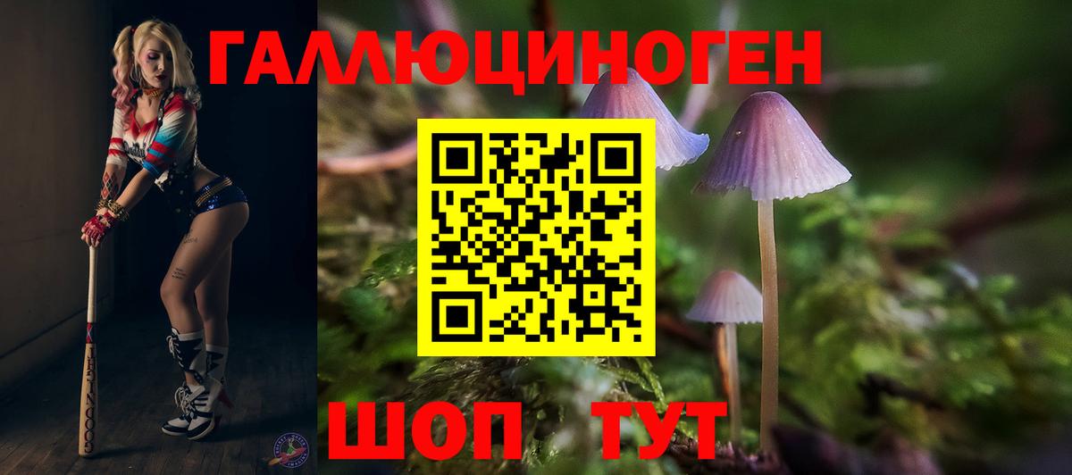 Киров  Псилоцибиновые грибы Psilocybe  Вход с VPN 